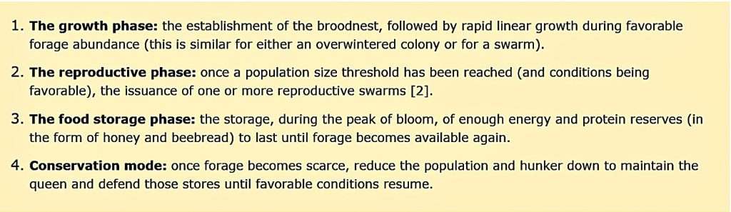 Join North Cascade Beekeepers