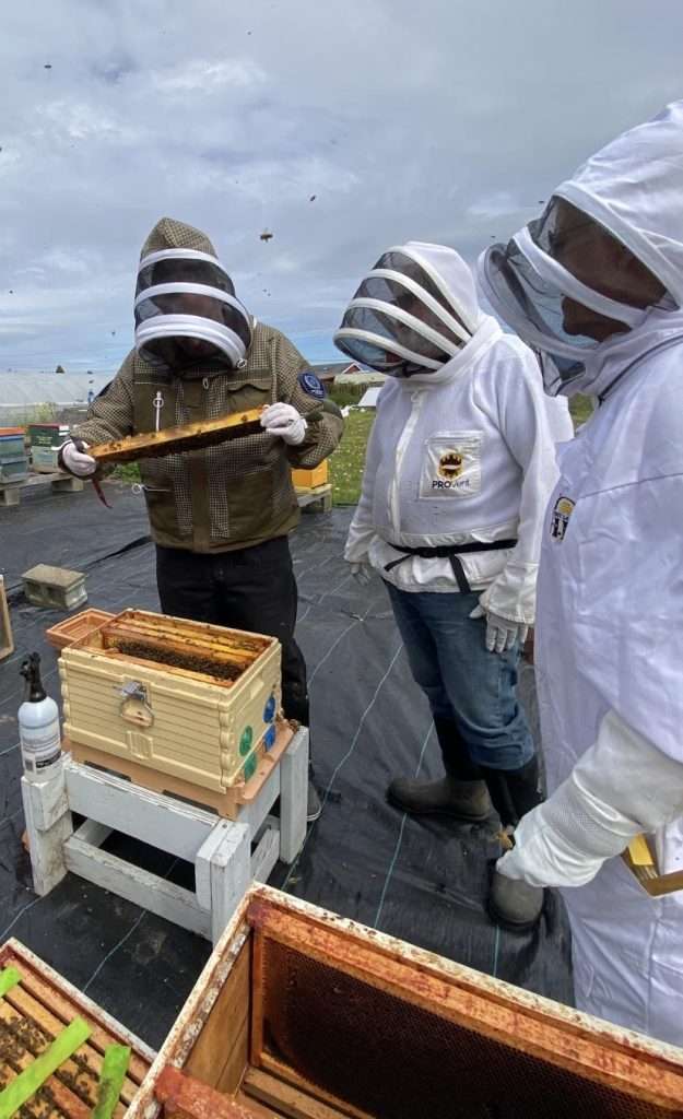 Apiary Day