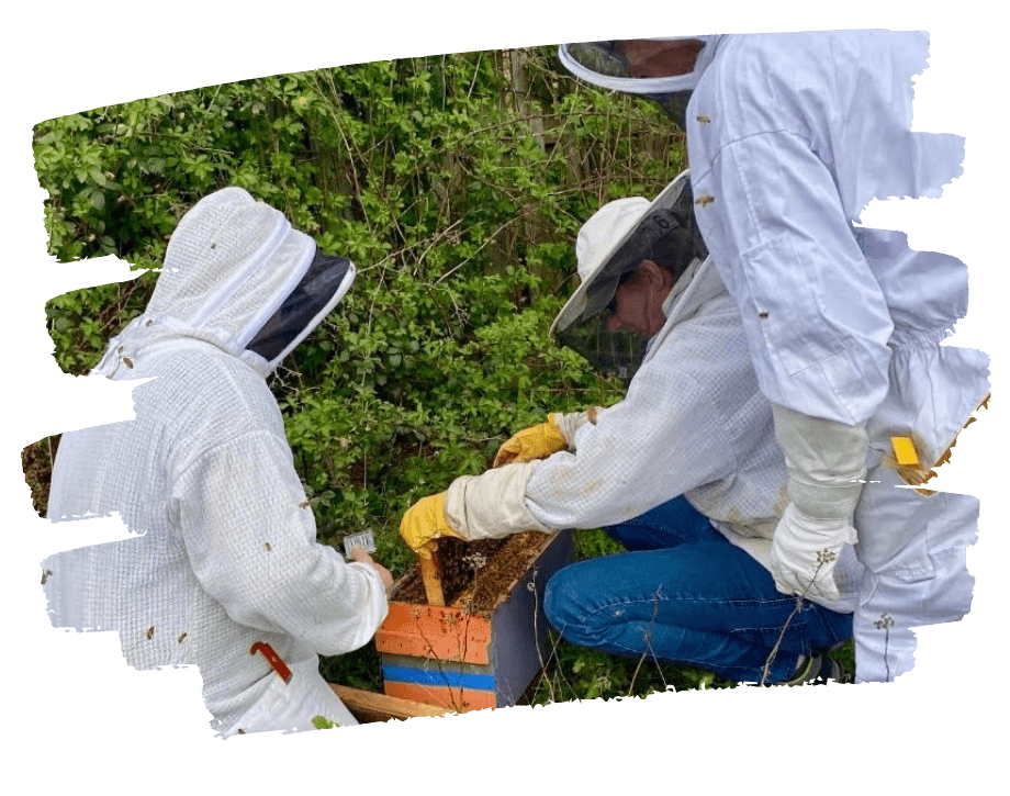 Apiary