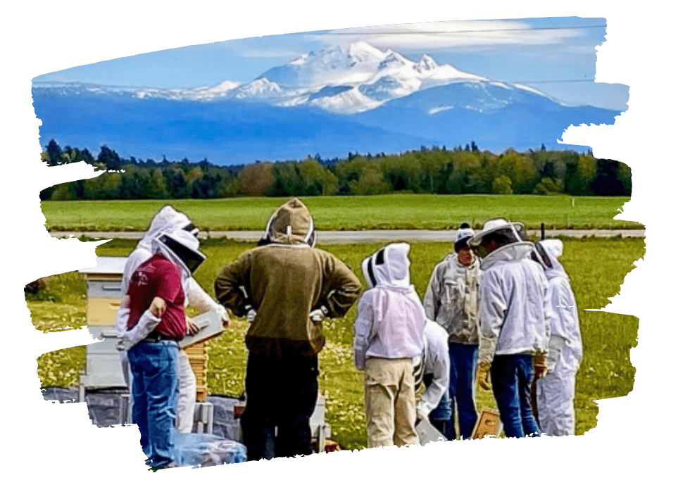 NCB Apiary Day